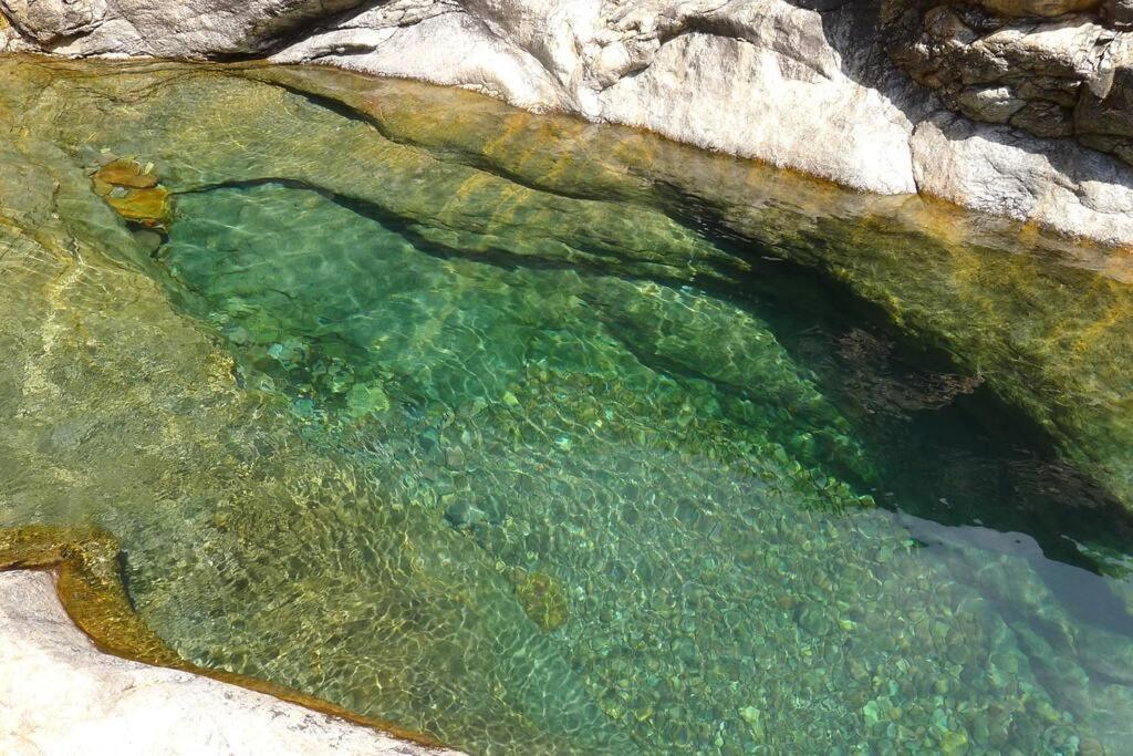 Le Capu Biancu-Location Avec Vue Proche Des Gorges De L Asco Entre Mer Et Montagne Moltifao Zewnętrze zdjęcie