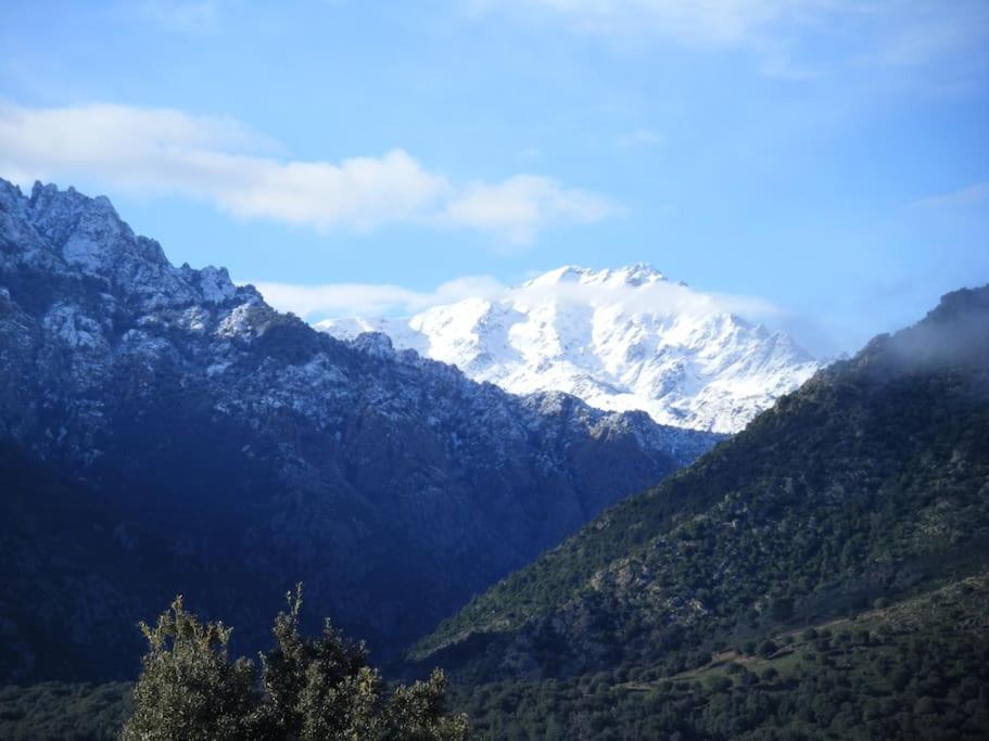 Le Capu Biancu-Location Avec Vue Proche Des Gorges De L Asco Entre Mer Et Montagne Moltifao Zewnętrze zdjęcie